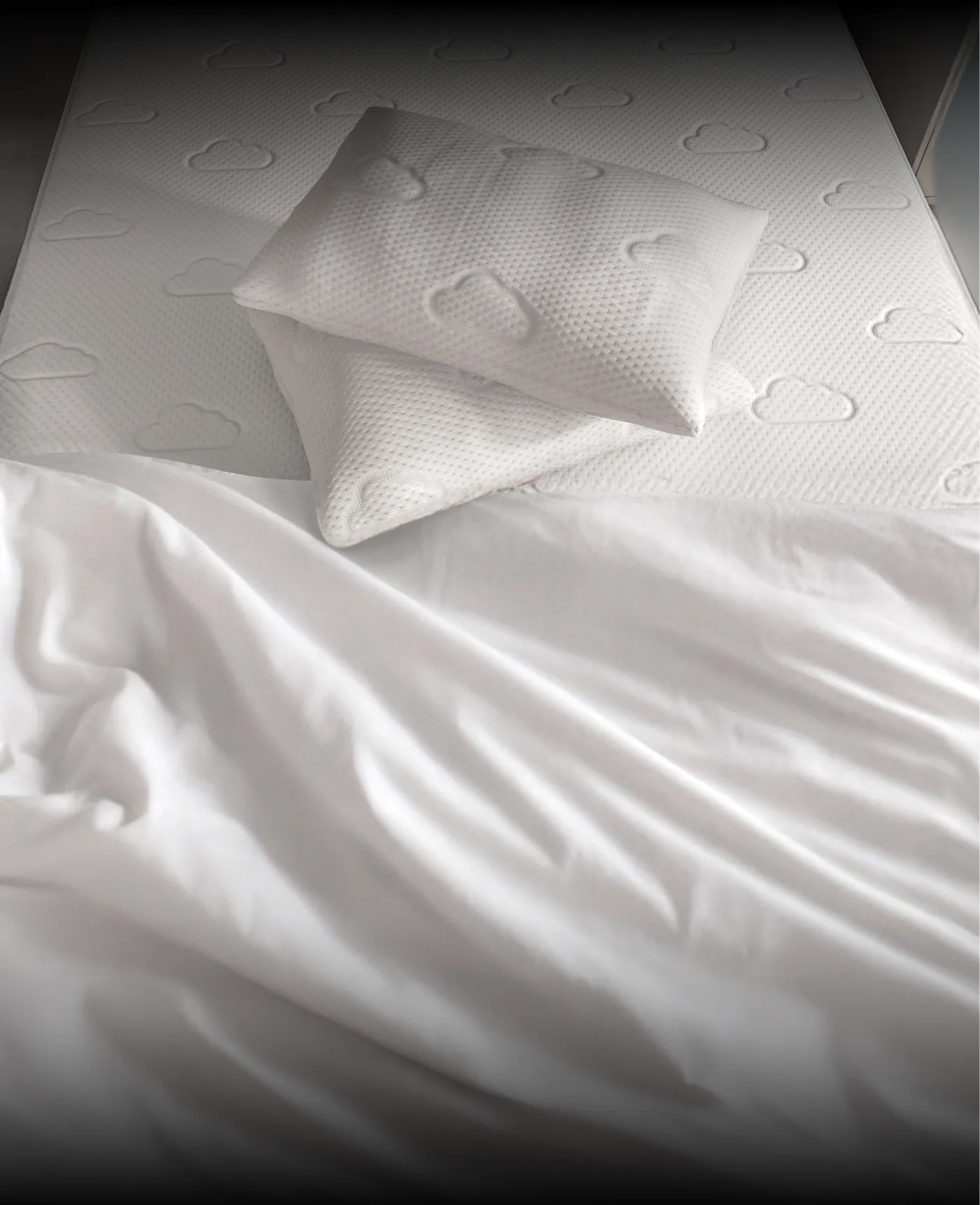 Puffy Signature Pillow